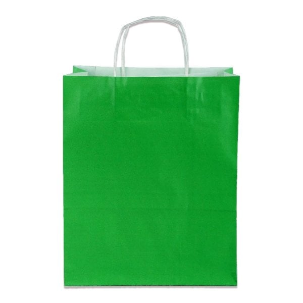 Yeşil Burgu Saplı Orta Boy Kağıt Çanta 25x31x12 cm