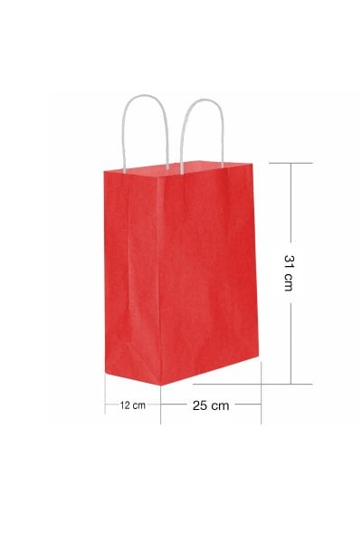 Kırmızı Burgu Saplı Orta Boy Kağıt Çanta 25x31x12 cm