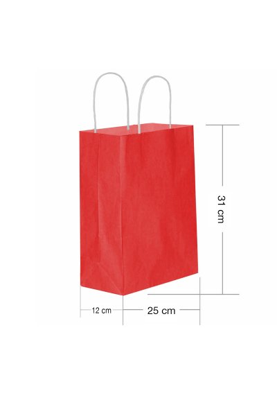 Kırmızı Burgu Saplı Orta Boy Kağıt Çanta 25x31x12 cm