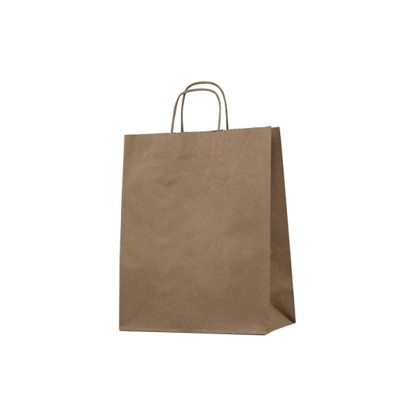 Burgu Saplı Kraft Kağıt Çanta 25 X 31 X 12 cm