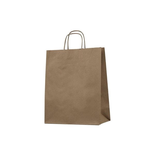Burgu Saplı Kraft Kağıt Çanta 25 X 31 X 12 cm