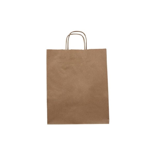Burgu Saplı Kraft Kağıt Çanta 25 X 31 X 12 cm