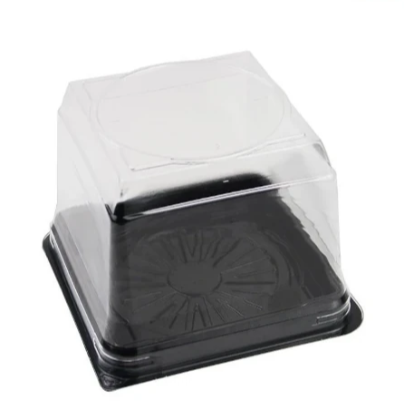 Kare Pasta Kabı Siyah Taban 12x12x9 cm 450 Adet